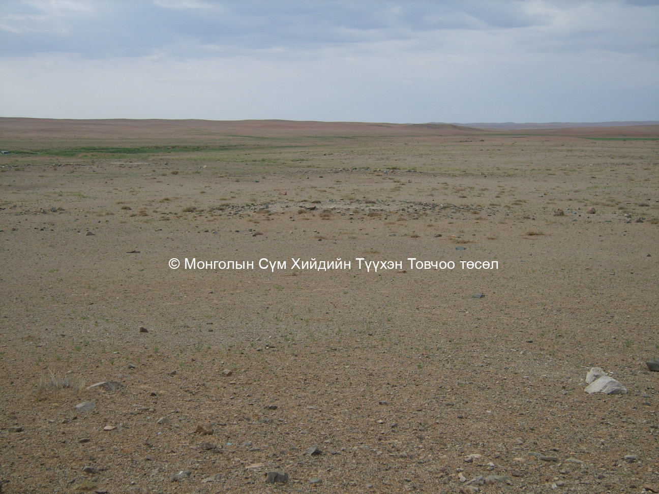 Хойд талаас авсан 